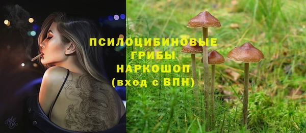 мяу мяу мука Абинск
