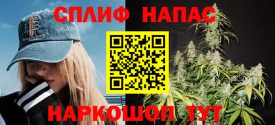 сатива Аша