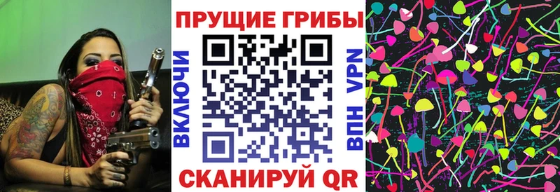 где продают   Абинск  Псилоцибиновые грибы мухоморы 