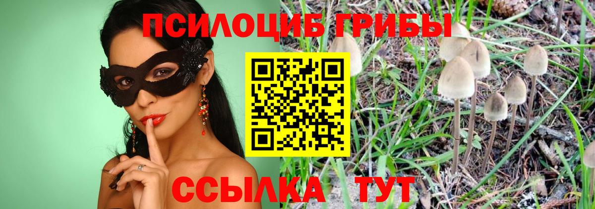 Галлюциногенные грибы GOLDEN TEACHER Абинск