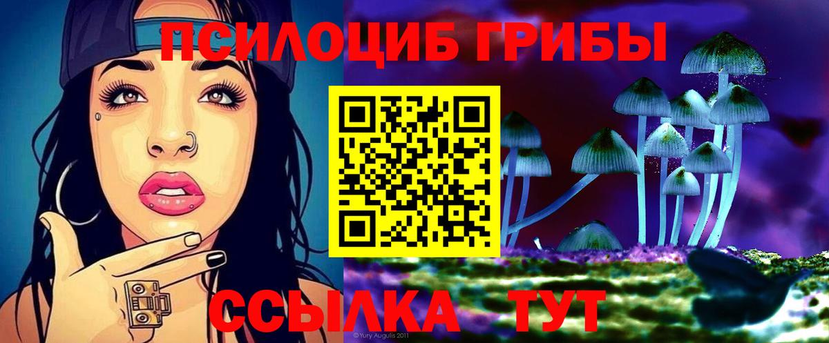 Абинск  Галлюциногенные грибы Psilocybine cubensis  Вход с VPN 